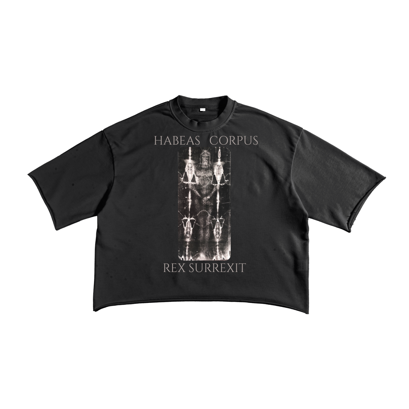 Habeas Corpus Raw Edge T-Shirt | Christian Graphic Streetwear Tee