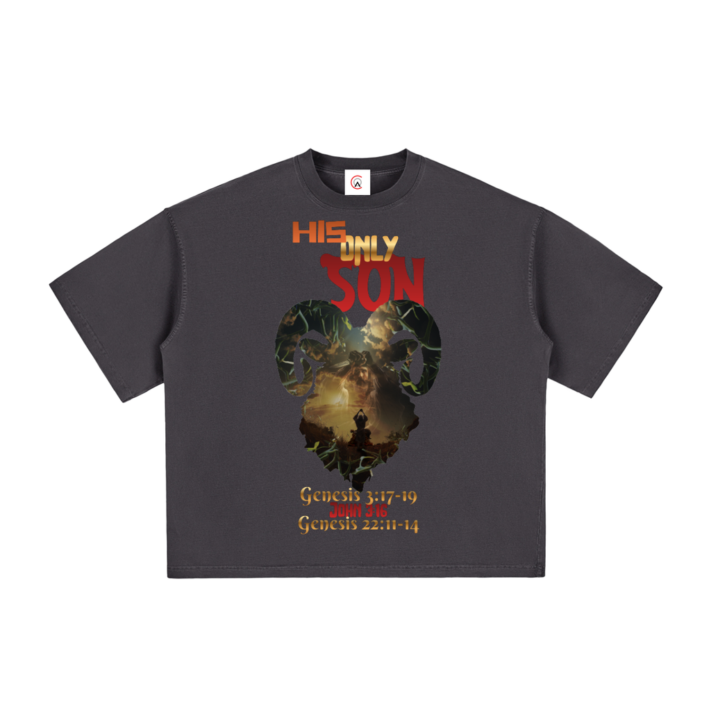 HIS only SON Vintage Washed Boxy T-Shirt | Faith-Based Streetwear Tee