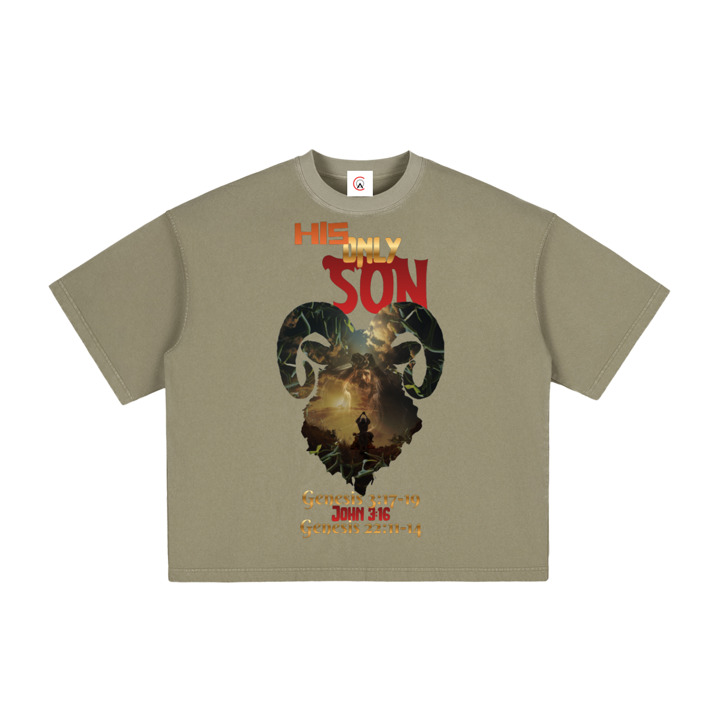 HIS only SON Vintage Washed Boxy T-Shirt | Faith-Based Streetwear Tee