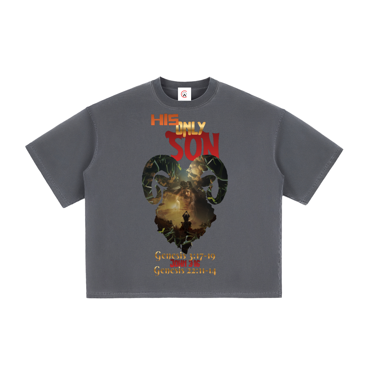 HIS only SON Vintage Washed Boxy T-Shirt | Faith-Based Streetwear Tee