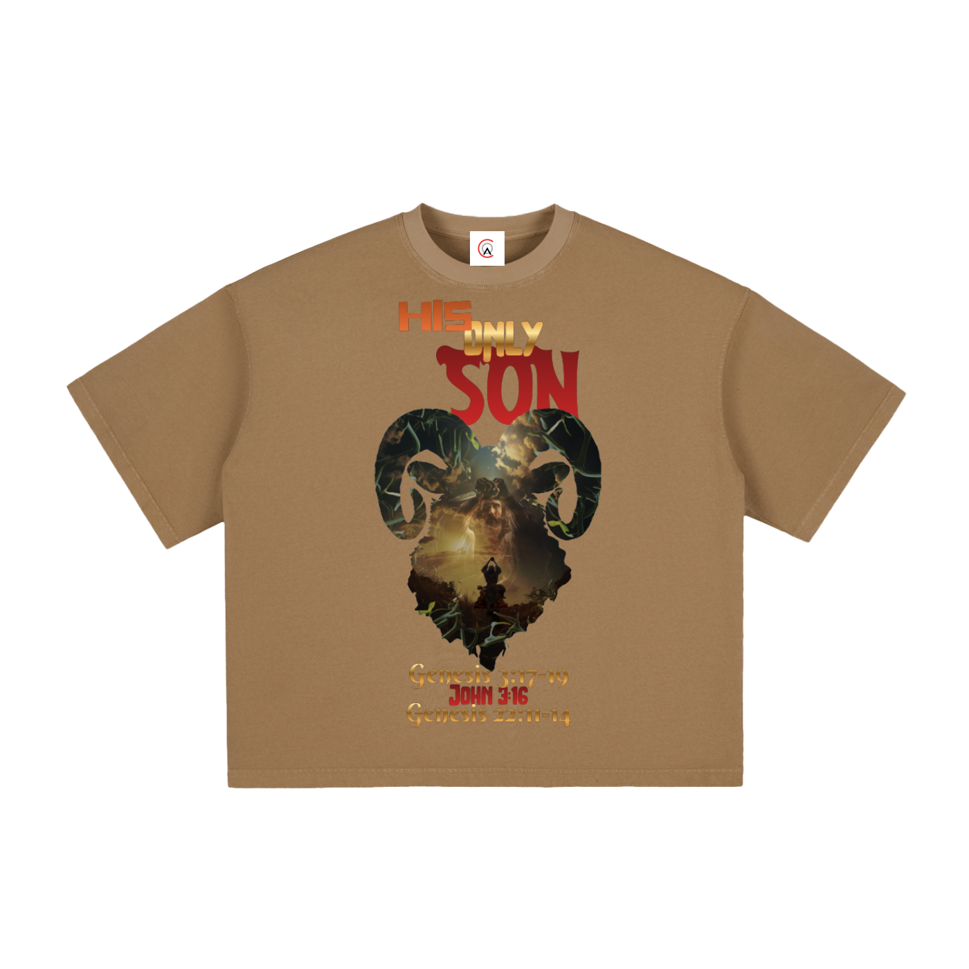 HIS only SON Vintage Washed Boxy T-Shirt | Faith-Based Streetwear Tee